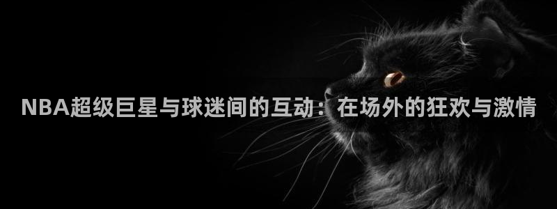 意昂2官方网站：NBA超级巨星与球迷间的互动：在场外的狂欢与