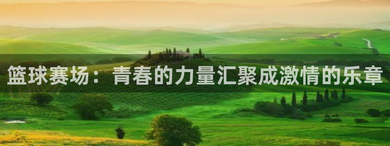 意昂2平台怎么样：篮球赛场：青春的力
