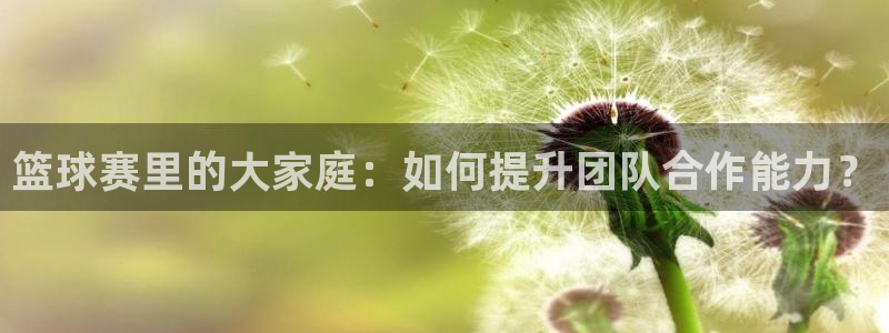 意昂2如何注册开户：篮球赛里的大家庭