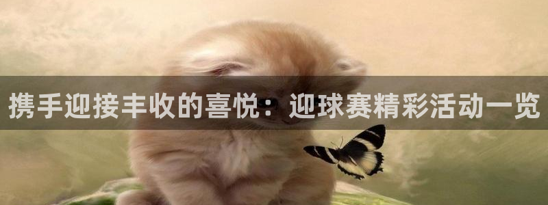 意昂2开户：携手迎接丰收的喜悦：迎球赛精彩活动一览