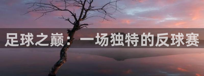  意昂2体育在线平台登录：足球之巅：一场独特的反球赛