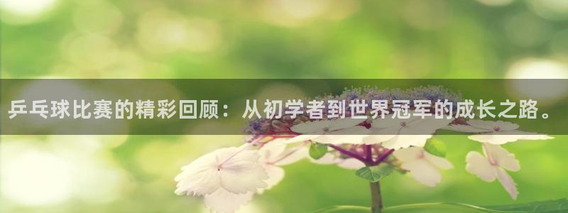 意昂2登录地址：乒乓球比赛的精彩回顾：从初学者到世界冠军的成
