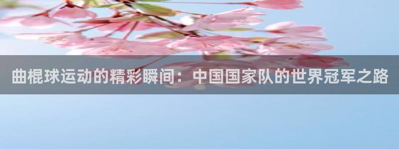 意昂2体育：曲棍球运动的精彩瞬间：中国国家队的世界冠军之路