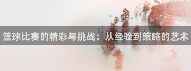 意昂2娱乐直属：篮球比赛的精彩与挑战：从经验到策略的艺术