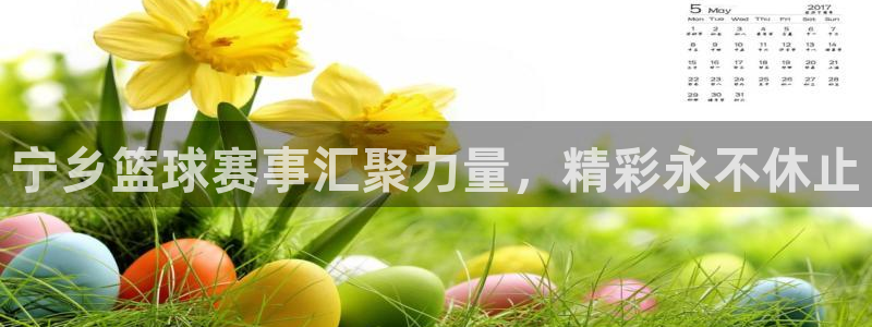意昂2开户：宁乡篮球赛事汇聚力量，精彩永不休止