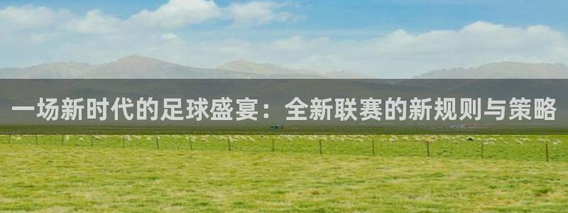  意昂2平台股东：一场新时代的足球盛宴：全新联赛的新规则与策略