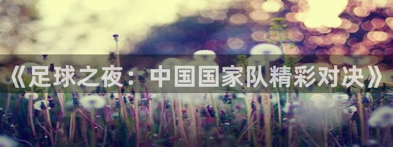 意昂2体育官方网站：《足球之夜：中国国家队精彩对决》