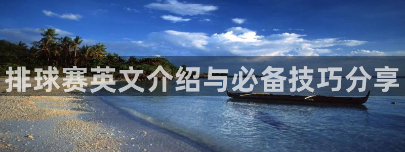 意昂2登录入口：排球赛英文介绍与必备技巧分享