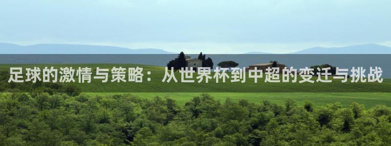 意昂2官网：足球的激情与策略：从世界杯到中超的变迁与挑战