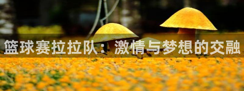 意昂2官方网站：篮球赛拉拉队：激情与梦想的交融