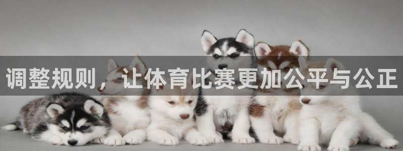  意昂2开户：调整规则，让体育比赛更加公平与公正