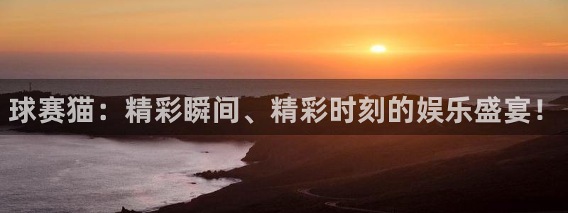  意昂2代理注册：球赛猫：精彩瞬间、精彩时刻的娱乐盛宴！