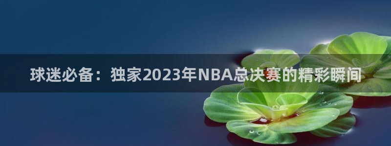 意昂2平台登录：球迷必备：独家2023年NBA总决赛的精彩瞬