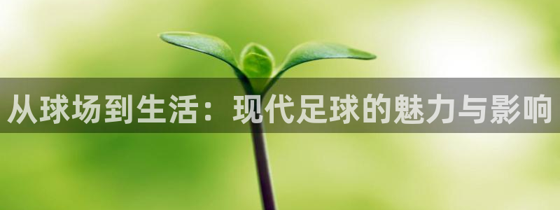 意昂2平台登录：从球场到生活：现代足球的魅力与影响