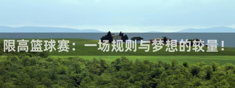  意昂2如何注册开户：限高篮球赛：一场规则与梦想的较量！