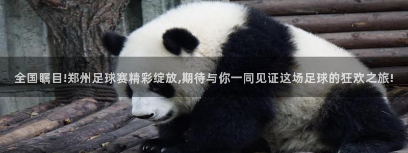 意昂2体育官方网站：全国瞩目!郑州足球赛精彩绽放,期待与你一