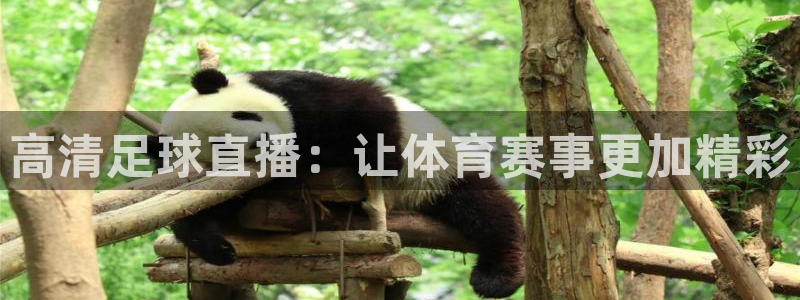 飞速体育app：高清足球直播：让体育赛事更加精彩