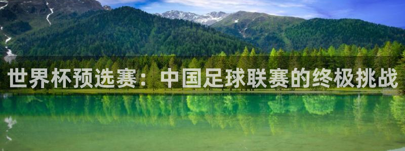 飞速直播体育无插件：世界杯预选赛：中国足球联赛的终极挑战