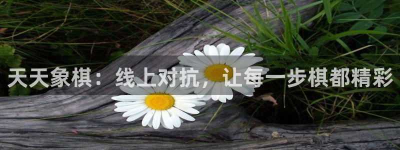 nba直播吧无插件版飞速：天天象棋：线上对抗，让每一步棋都精彩