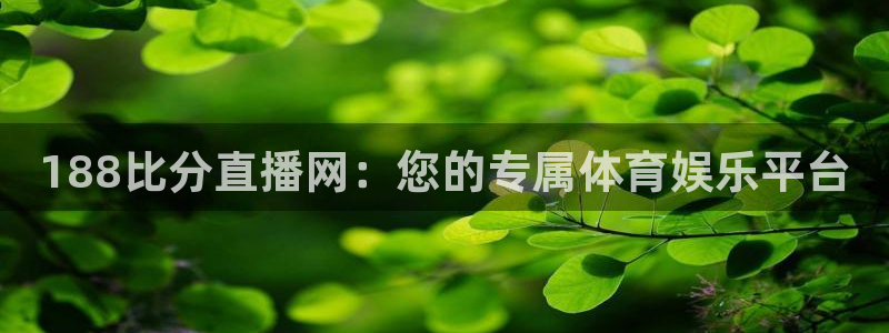 飞速直播篮球直播：188比分直播网：您的专属体育娱乐平台