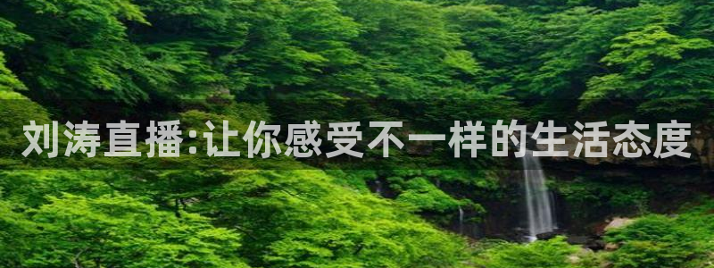 飞速体育直播无插件：刘涛直播:让你感受不一样的生活态度