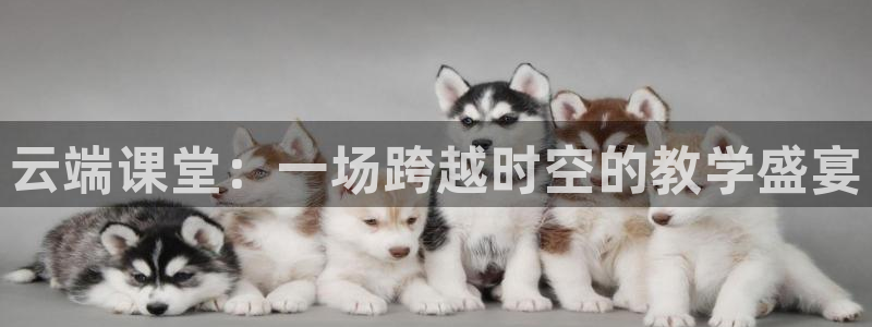 nba飞速在线直播：云端课堂：一场跨越时空的教学盛宴