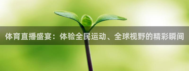 飞速体育在线直播：体育直播盛宴：体验全民运动、全球视野的精彩瞬间