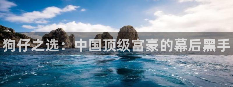 飞速体育在线直播观看：狗仔之选：中国顶级富豪的幕后黑手