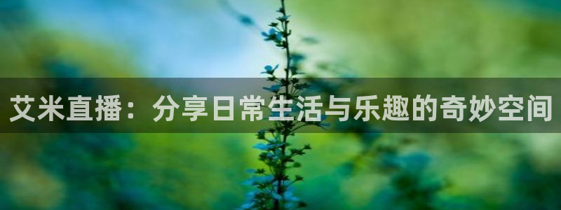 飞速直播体育在线直播nba：艾米直播：分享日常生活与乐趣的奇妙空间