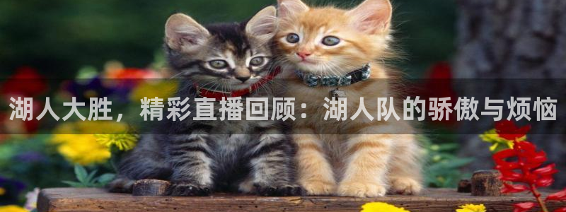 飞速直播看球：湖人大胜，精彩直播回顾：湖人队的骄傲与烦恼