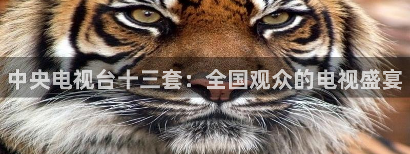 飞速直播体育直播