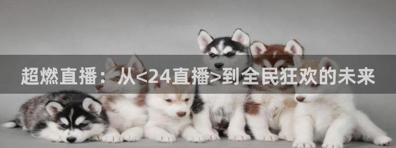 飞速直播体育nba在线直播：超燃直播：从<24直播>到全民狂欢的未来