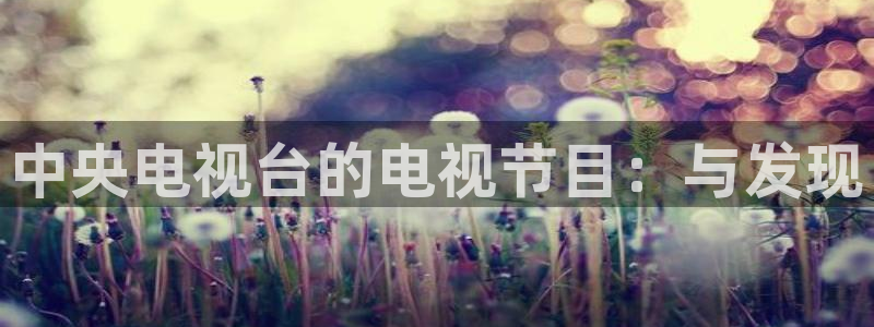 飞速体育直播全面更新升级.网站玩.org：中央电视台的电视节目：与发现